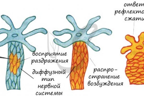 Кракен сайт krakens13 at