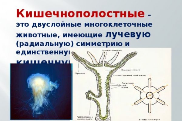 Почему не работает сайт кракен