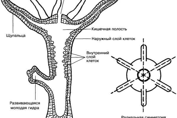 Кракен официальный сайт 2krnk