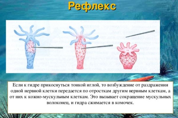 Kraken торговая площадка ссылка