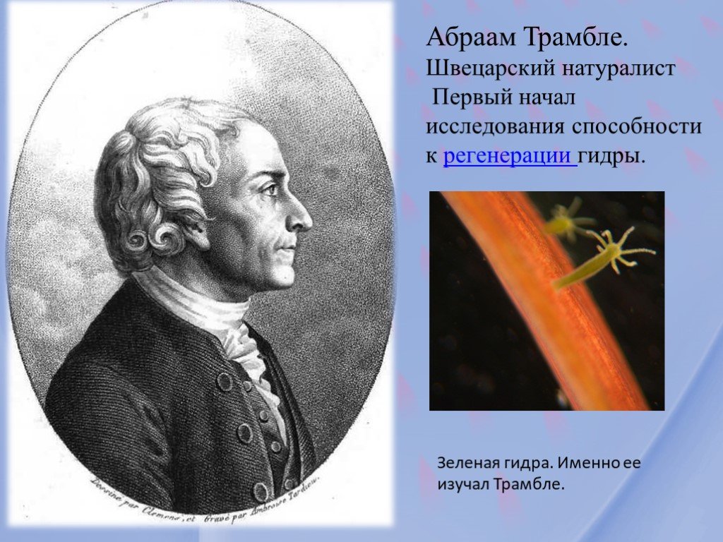Кракен актуальные